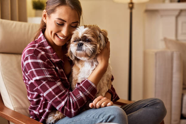Top 05 Low-Maintenance Pets for Busy Individuals