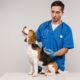 Pet Microchipping: Ensuring the Safety and Security of Your Furry Friend.